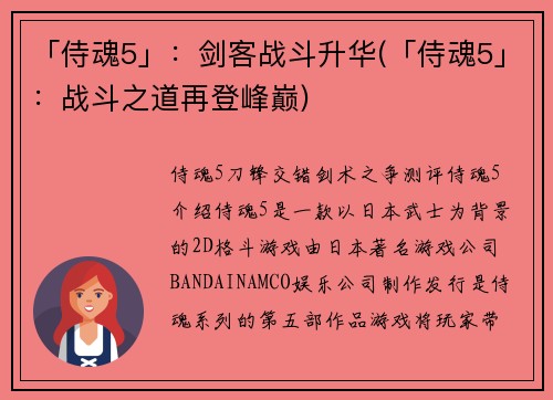 「侍魂5」：剑客战斗升华(「侍魂5」：战斗之道再登峰巅)